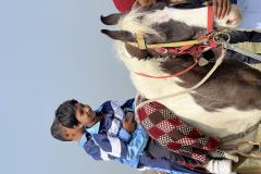 horse-riding-3-scaled