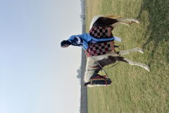 horse-riding-5-scaled